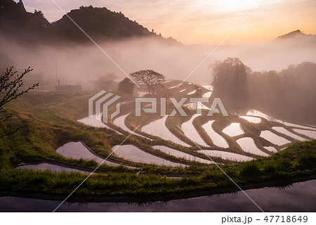 (千葉県)朝霧の大山千枚田 春 (千葉県)朝霧の大山千枚田 春 47718649