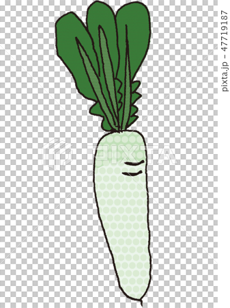 Daikon 1件 Daikon 1件 47719187