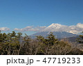 田子ノ浦から見た富士山 47719233