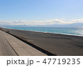 田子ノ浦 47719235