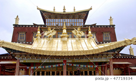 雲南省　シャングリラ　金色に輝く松賛林寺　 47719334