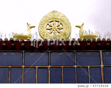 中国　青海省　和日寺　チベット仏教のシンボル　金色の2頭の鹿と法輪 47719339