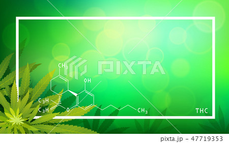 Marijuana Plant And Cannabis On Green Background のイラスト素材