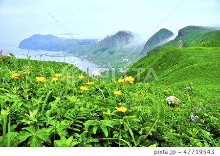 礼文島・桃岩展望台コースから元地海岸を眺望する 礼文島・桃岩展望台コースから元地海岸を眺望する 47719543