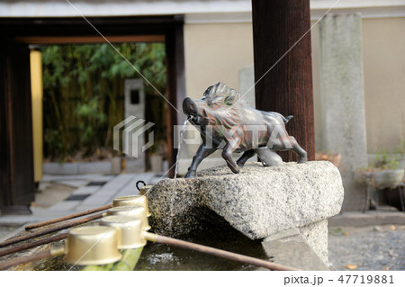 摩利支天堂 47719881