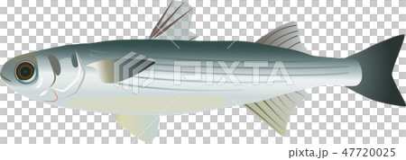 Bora Bora 47720025