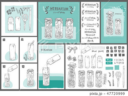 ハーバリウム 作り方 素材 セット ベクター 水色のイラスト素材