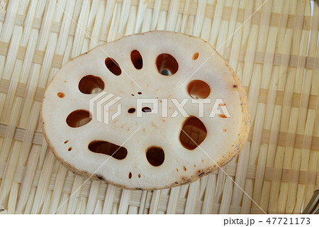 レンコン レンコン 47721173