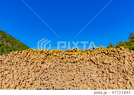 静岡県伊豆市 材木置き場 林業イメージ 静岡県伊豆市 材木置き場 林業イメージ 47721843