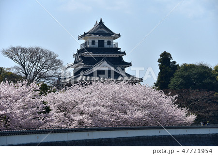 お城と桜 47721954