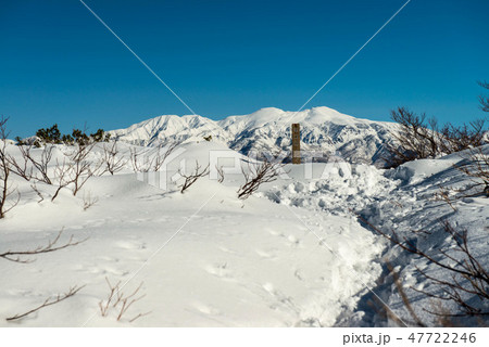 取立山の雪景色 47722246