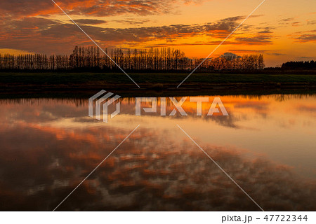 河北潟の夕景 河北潟の夕景 47722344
