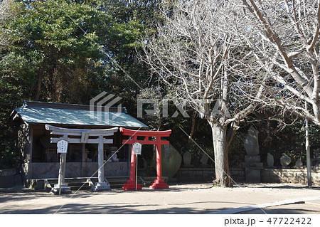 鎌倉市 小動神社 鎌倉市 小動神社 47722422