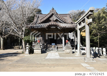 鎌倉市 小動神社 鎌倉市 小動神社 47722425