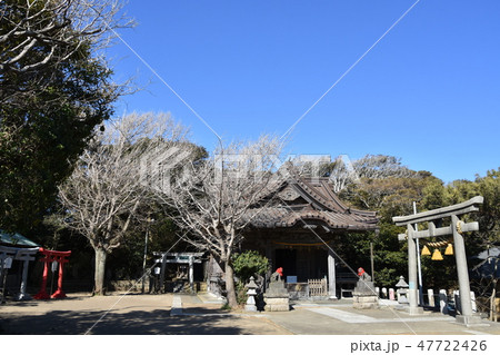 鎌倉市 小動神社 鎌倉市 小動神社 47722426