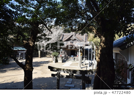 鎌倉市　小動神社 47722480