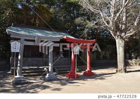 鎌倉市 小動神社 鎌倉市 小動神社 47722529