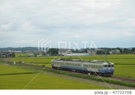 田園を行く越後線115系電車 47722708