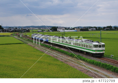田園を行く越後線115系電車 47722709