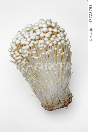 エノキダケ_01 エノキダケ_01 47722793