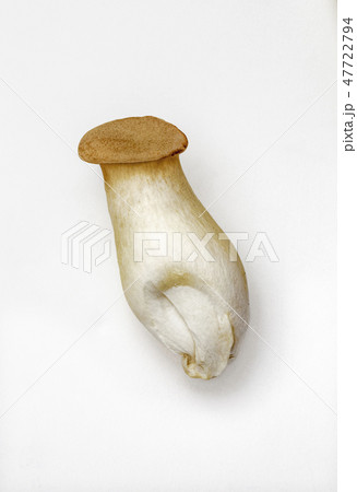 エリンギ_02 エリンギ_02 47722794