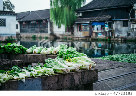 紹興の風景2 紹興の風景2 47723192