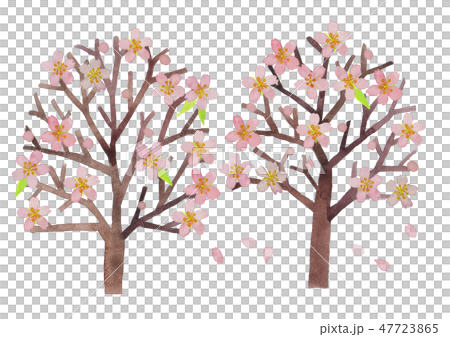 spring tree spring tree 47723865