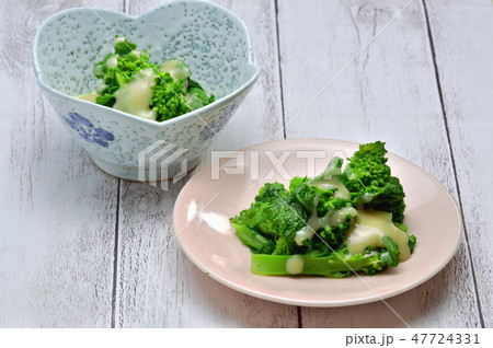 菜の花の酢味噌和え 菜の花の酢味噌和え 47724331