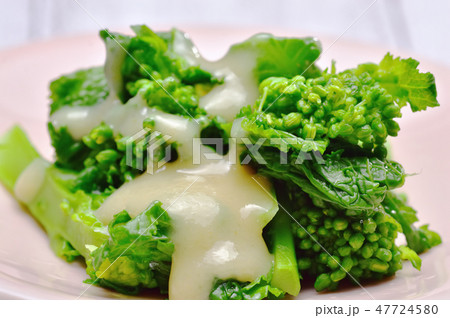 菜の花の酢味噌和え 菜の花の酢味噌和え 47724580