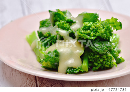 菜の花の酢味噌和え 菜の花の酢味噌和え 47724785