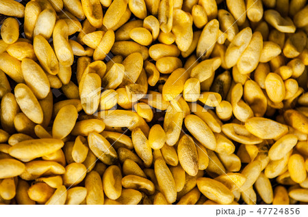 Thai sericulture silkworm cocoons, Thailand Thai sericulture silkworm cocoons, Thailand 47724856