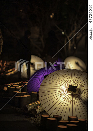 百華百彩 47726016