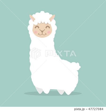 Llama Alpaca Fluffy Vectorのイラスト素材