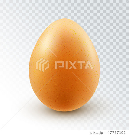 Vector Realistic Brown Chicken egg 47727102