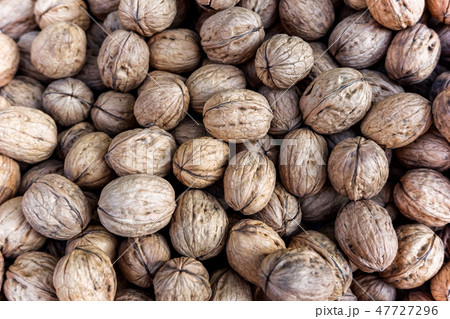 沢山のクルミを俯瞰で見る 47727296