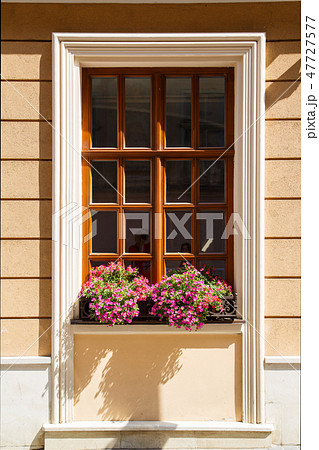 window with flowers 47727577