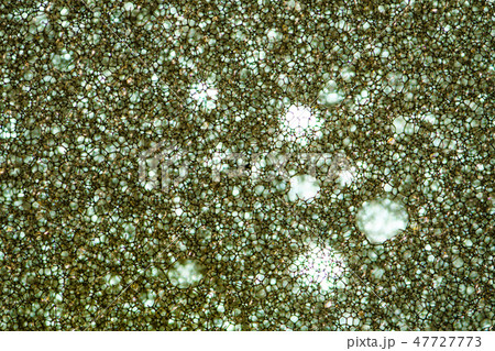 Sponge Foam Texture Macro Background 47727773