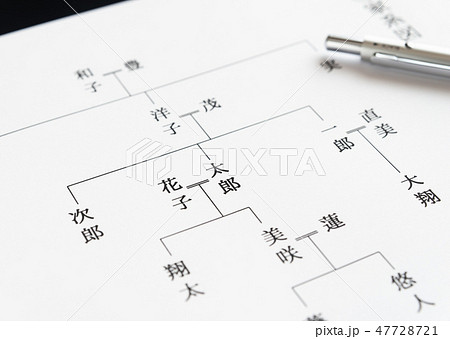 家系図　祖先　親戚　ルーツ 47728721