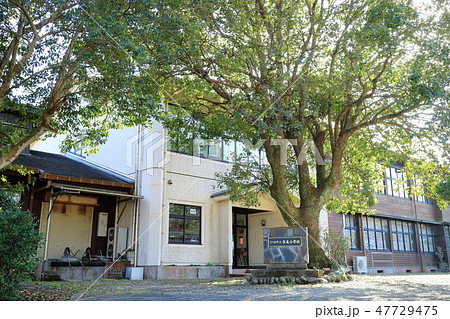 閉校した紫尾小学校 47729475