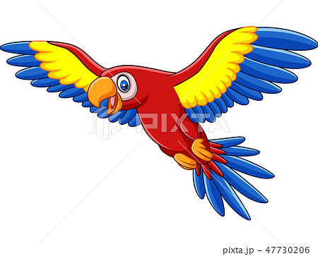 Cartoon funny macaw flying 47730206