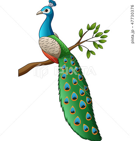 Cartoon cute peacock on a branch - Stock Illustration [47730376] - PIXTA
