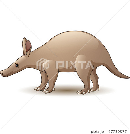Cartoon Aardvark isolated on white background Cartoon Aardvark isolated on white background 47730377