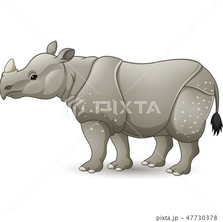 Cartoon Asian rhinoceros isolated on white backgro 47730378