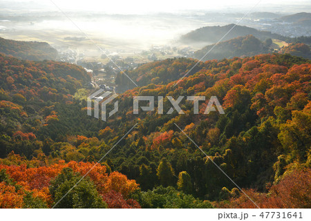 大小山　大小山山腹の紅葉と朝霧 47731641