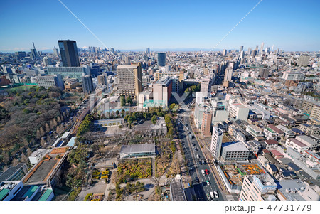 日本の東京都市景観 富士山と新宿副都心や池袋の超高層ビル群などを望む 日本の東京都市景観 富士山と新宿副都心や池袋の超高層ビル群などを望む 47731779