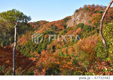 紅葉の大小山 大小山山頂東側中腹から南方面を見る 紅葉の大小山 大小山山頂東側中腹から南方面を見る 47732482