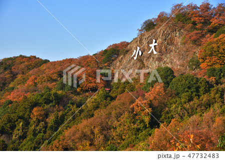 紅葉の大小山 大小山山頂東側中腹から南方面を見る 紅葉の大小山 大小山山頂東側中腹から南方面を見る 47732483