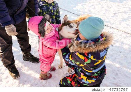 Little girl with husky. Cute baby with dog 47732797