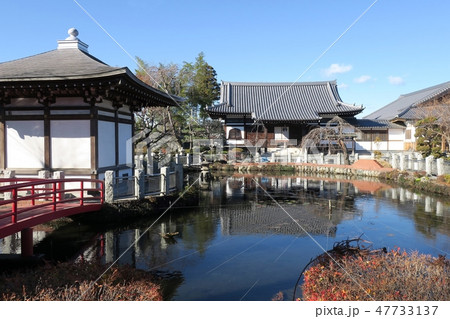 入間市円照寺 入間市円照寺 47733137