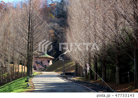 あけぼの子どもの森公園入り口 あけぼの子どもの森公園入り口 47733143